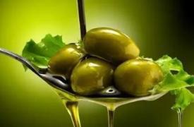 定期使用特级初榨橄榄油可降低患乳腺癌的风险