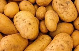 让你的土豆新鲜：加工它们意味着你会损失多达一半的营养