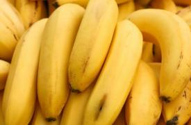 原产于南亚的野生香蕉被发现具有强大的抗糖尿病特性