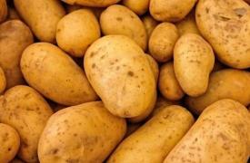 研究确定了马铃薯中的配糖生物碱和酚类化合物