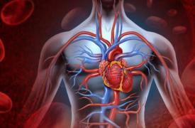 改善营养可以预防近50%的心血管疾病过早死亡