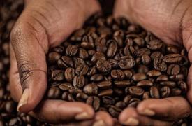 咖啡中的化合物可以对抗帕金森氏症和路易体痴呆症