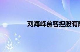 刘海峰慕容控股有限公司独立非执行董事