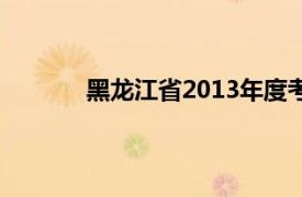 黑龙江省2013年度考试录用公务员公告公示