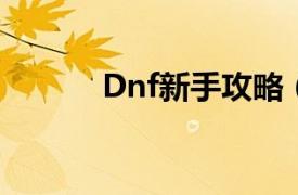 Dnf新手攻略（DNF专业攻略）