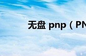 无盘 pnp（PNP无盘网络系统）