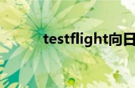 testflight向日葵（TestFlight）