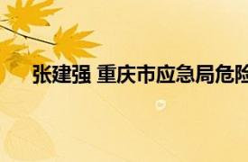 张建强 重庆市应急局危险化学品安监管理处主任科员
