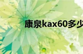 康泉kax60多少（康泉KAX100）