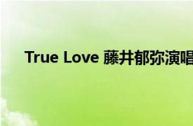 True Love 藤井郁弥演唱歌曲 《爱情白皮书》主题曲