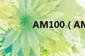 AM100（AMADA AP100）