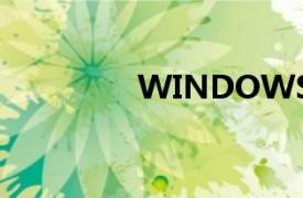 WINDOWS网络编程影印