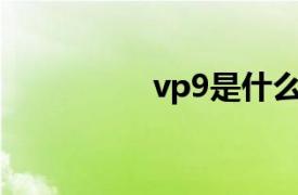 vp9是什么职位（VP9）
