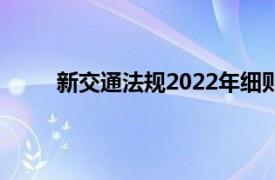 新交通法规2022年细则解读（新交通法规2013）