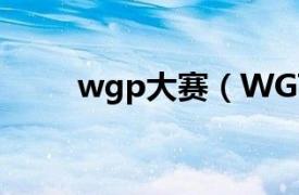 wgp大赛（WGT电子竞技大师赛）