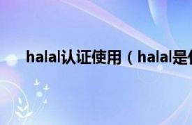halal认证使用（halal是什么认证相关内容简介介绍）