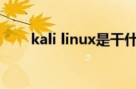 kali linux是干什么的（Kali linux）