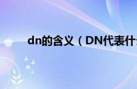 dn的含义（DN代表什么意思相关内容简介介绍）