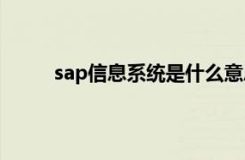 sap信息系统是什么意思（sap系统是什么意思）
