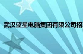 武汉蓝星电脑集团有限公司招聘（武汉蓝星电脑集团有限公司）