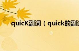 quicK副词（quick的副词是什么相关内容简介介绍）