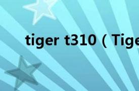 tiger t310（TigerPower T340-4A）