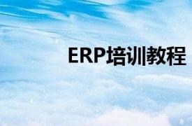 ERP培训教程（ERP培训教程）