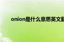 onion是什么意思英文翻译（onion是什么意思？）