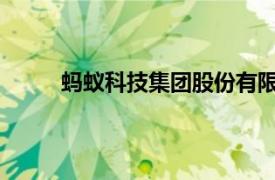 蚂蚁科技集团股份有限公司西南大区总经理吴喆