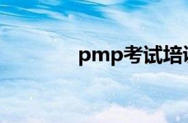 pmp考试培训（PMP考试）