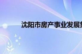 沈阳市房产事业发展集团有限公司负责人电话