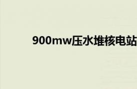 900mw压水堆核电站系统与设备基本系统名称