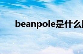 beanpole是什么牌子（BEANPOLE）