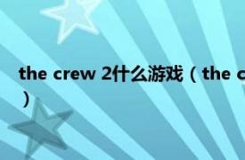 the crew 2什么游戏（the crew2是什么游戏相关内容简介介绍）