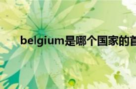 belgium是哪个国家的首都（belgium是哪个国家）