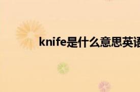 knife是什么意思英语（knife是什么意思？）