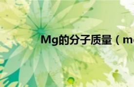 Mg的分子质量（mg相对分子质量是多少）