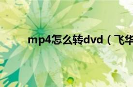 mp4怎么转dvd（飞华DVD转MP4格式转换器）
