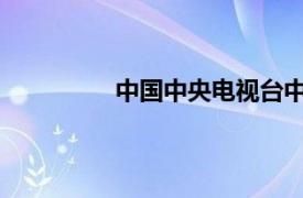 中国中央电视台中文国际频道中国新闻