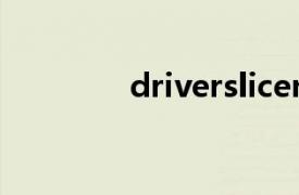 driverslicense是什么意思