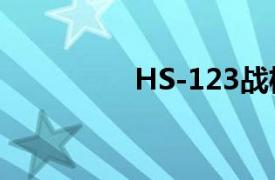 HS-123战机（Hs-123）