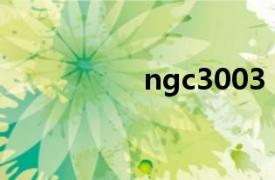 ngc3003（NGC 300）
