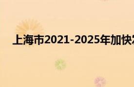 上海市2021-2025年加快发展新能源汽车产业实施方案