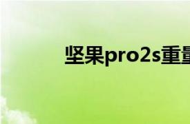 坚果pro2s重量（坚果Pro 2S）