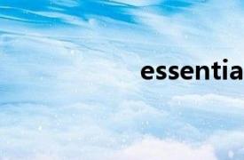 essentials（essen）