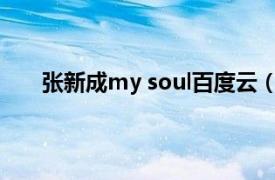 张新成my soul百度云（My Soul 张新成演唱歌曲）