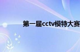 第一届cctv模特大赛（CCTV网络模特大赛）
