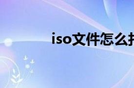 iso文件怎么打开（ISO文件）