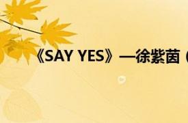 《SAY YES》—徐紫茵（Say Yes 徐紫茵演唱歌曲）