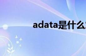 adata是什么意思（ADATA）